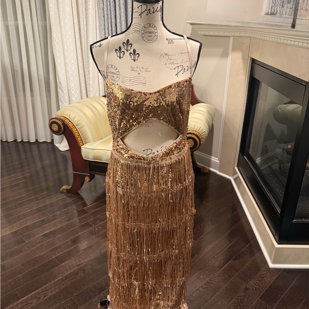 Gold Sequin Fringe Dress